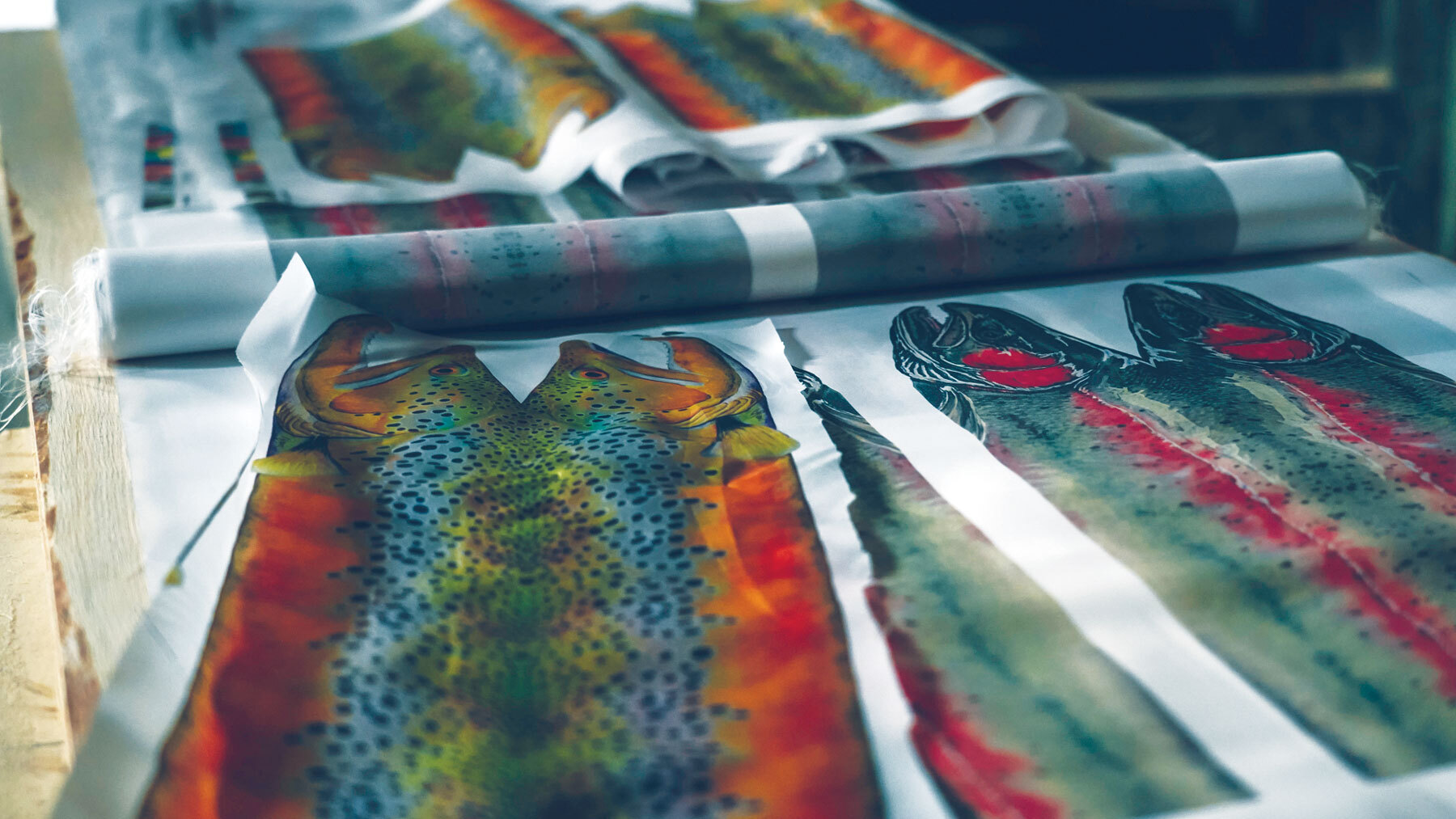 Artisan Fish Prints Rolls of fabric with graphics for Artisan Oars