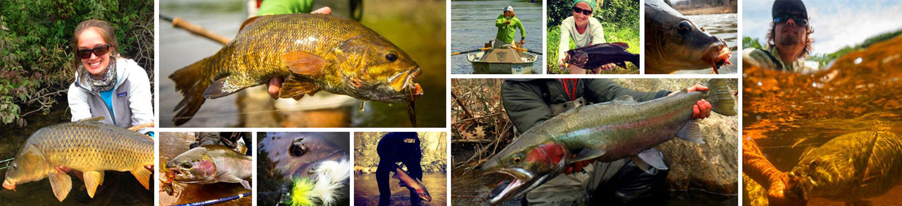 Collage of fishing images from Mike Schultz